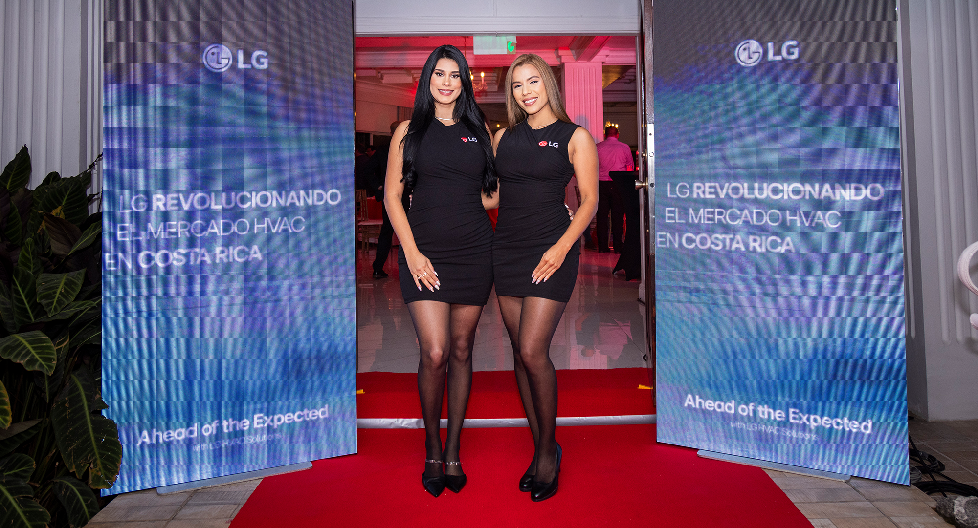 EDECANES SOLUCIONES ELITE